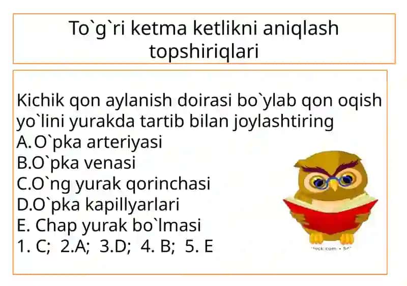 8-sinf Odam va uning salomatligi 3