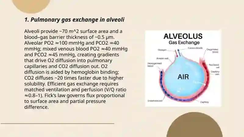 The exchange of gas 3