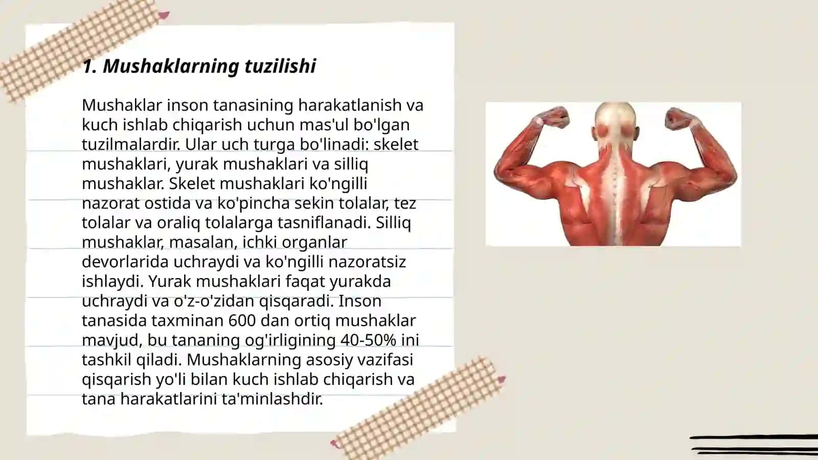Mushaklarning ishi va biomexanikasi 3
