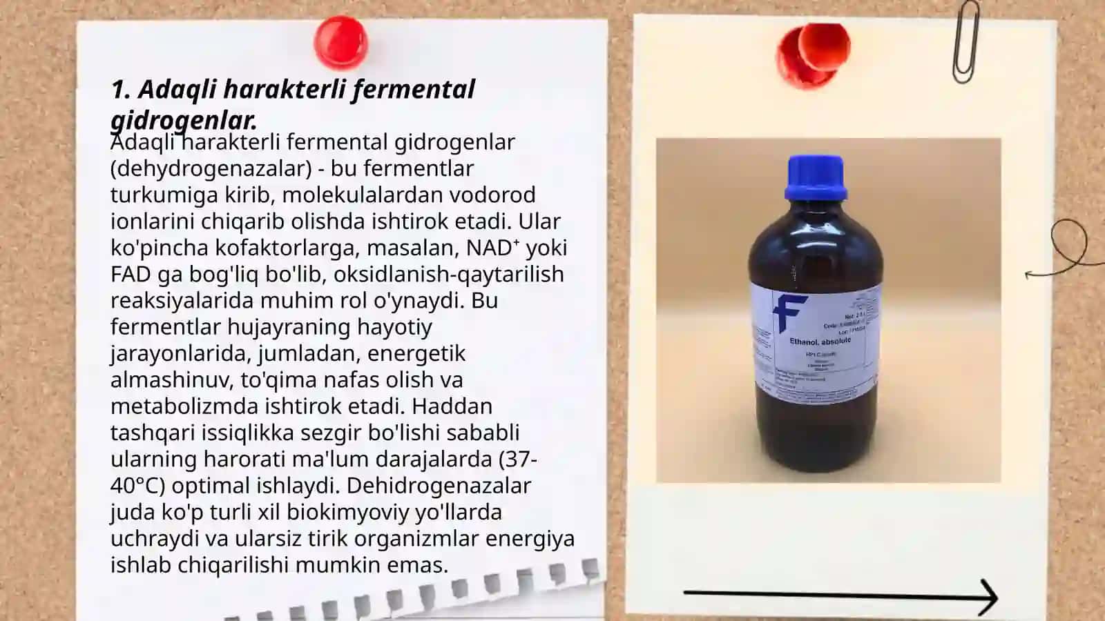 Etanol metabolizmi. ALDG fermentining izoformalari 3