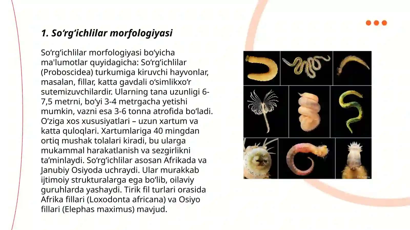 So‘rg‘ichlilar – odam parazitlari 3
