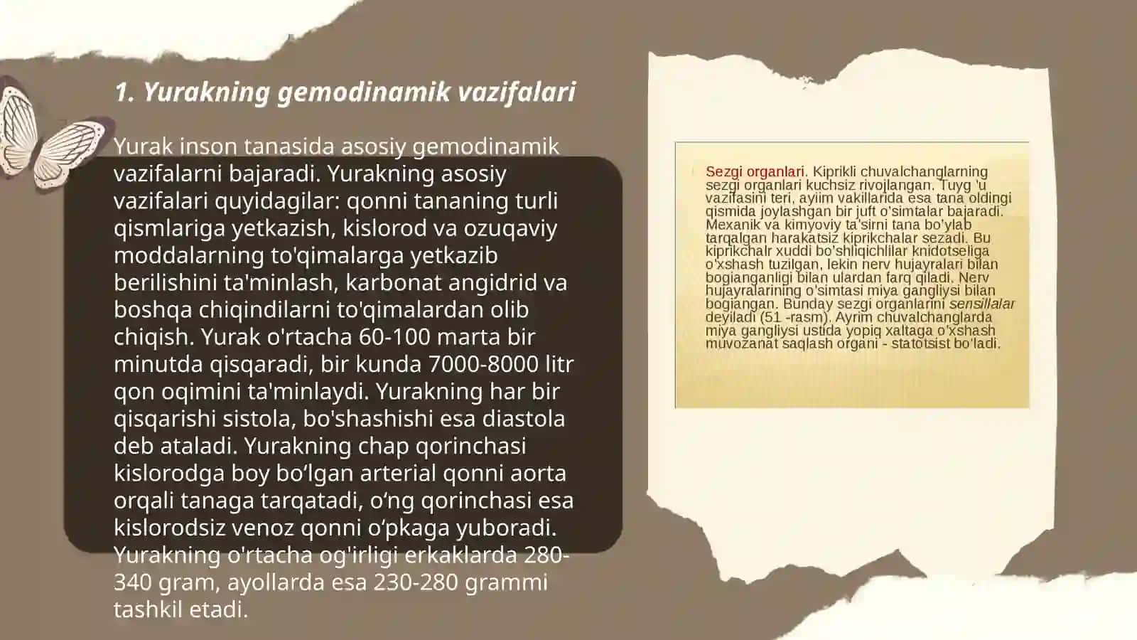 Yurak gemodinamik vazifasi 3
