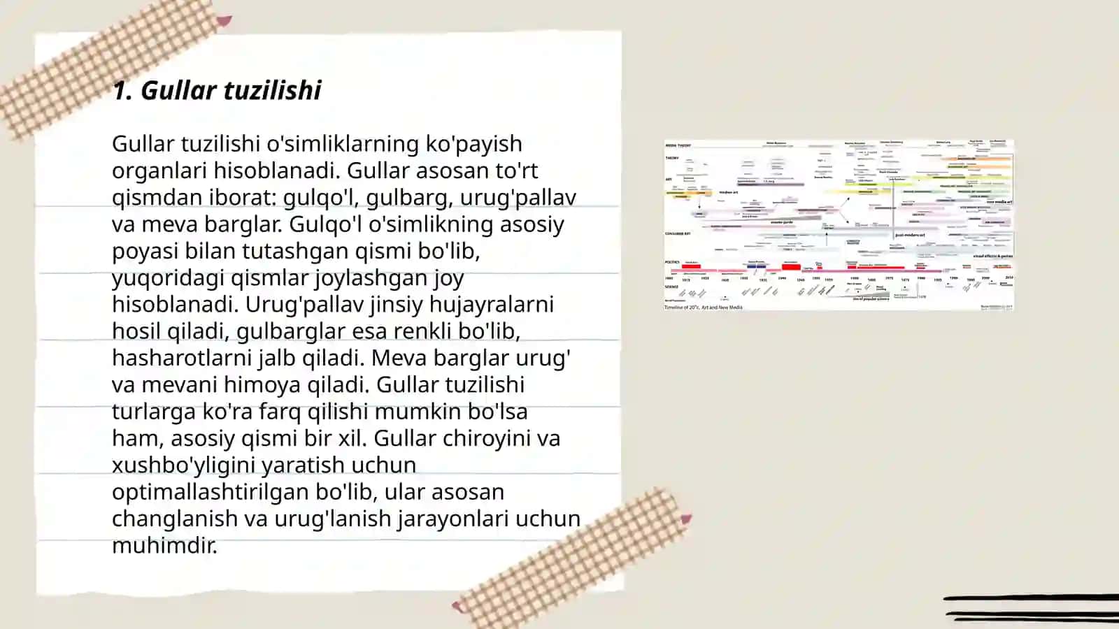 Õsimliklarning generativ organlari 3