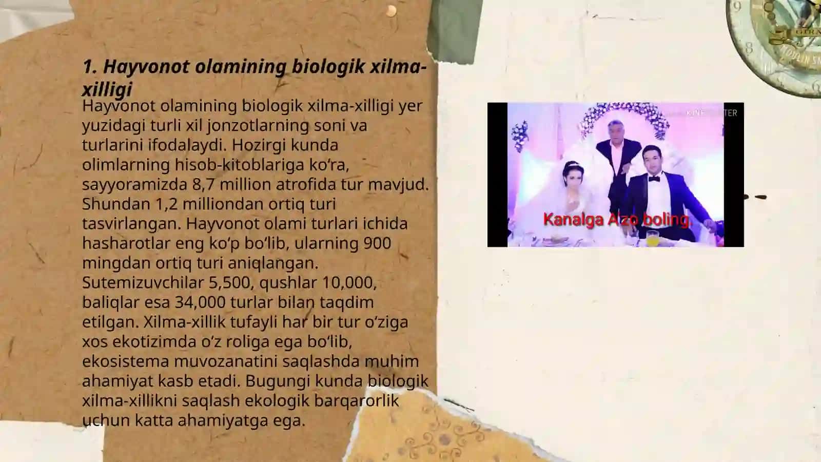 Hayvonot olamining xilma-xilligi 3