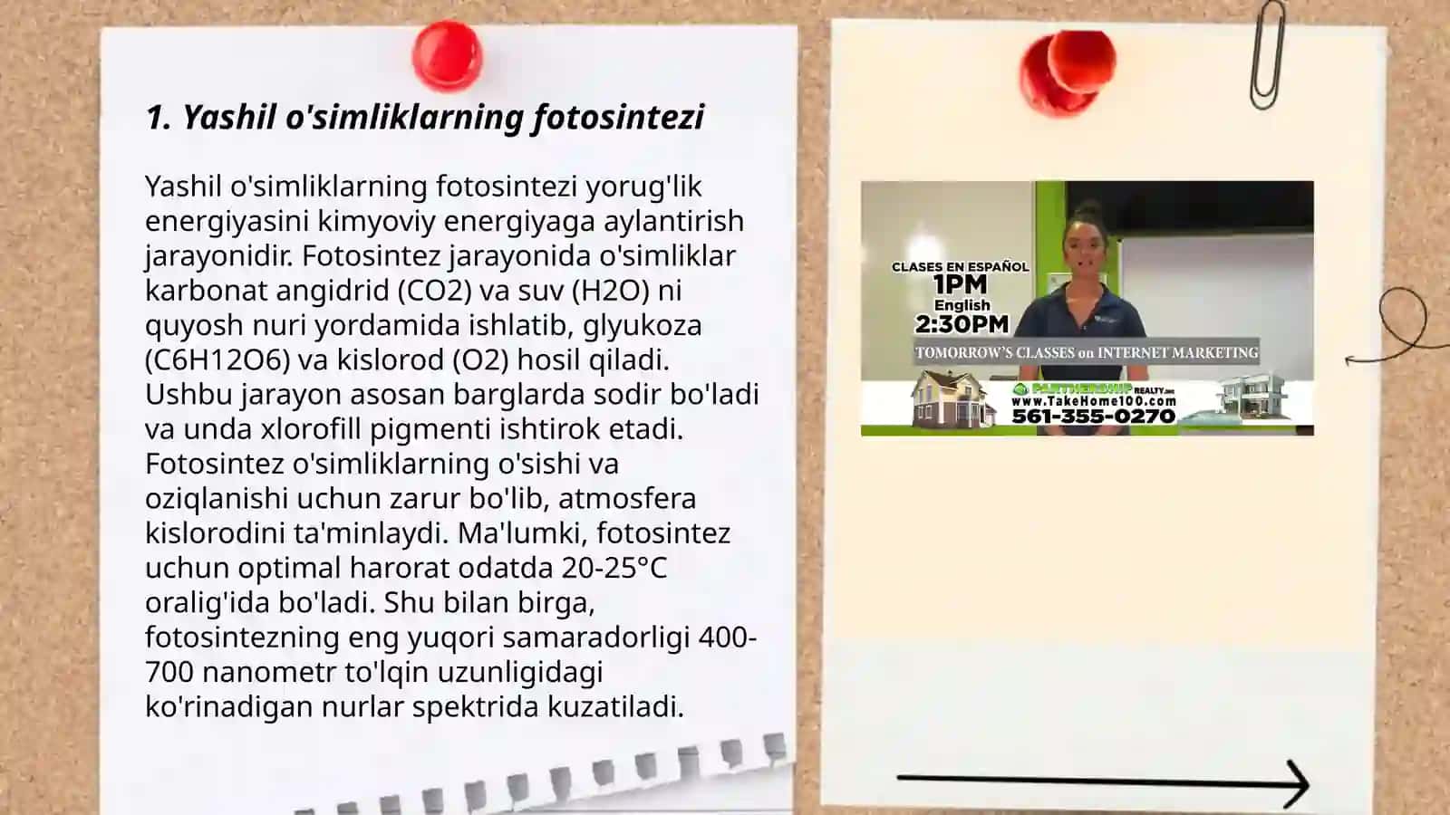 Yashil o'simliklarning fotosintezi 3