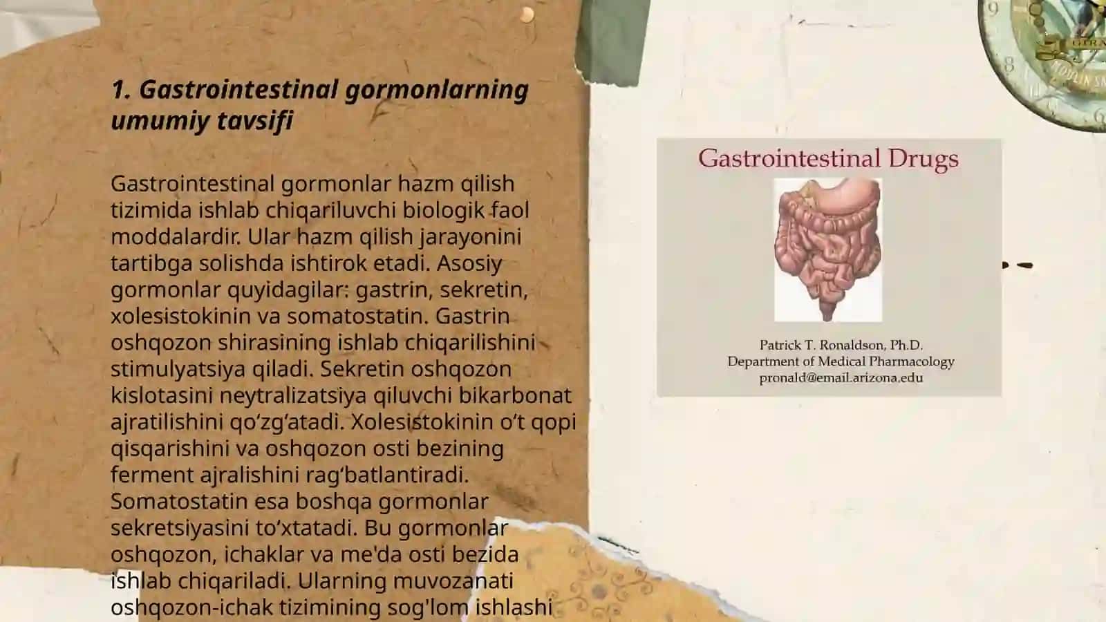 Gastrointestinal garmonlar Urinboyeva Ominaxon 3