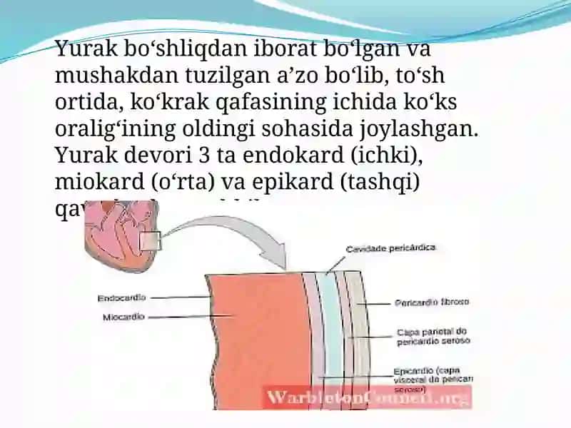 1-sonli Ichki kasalliklar propedevtikasi 3