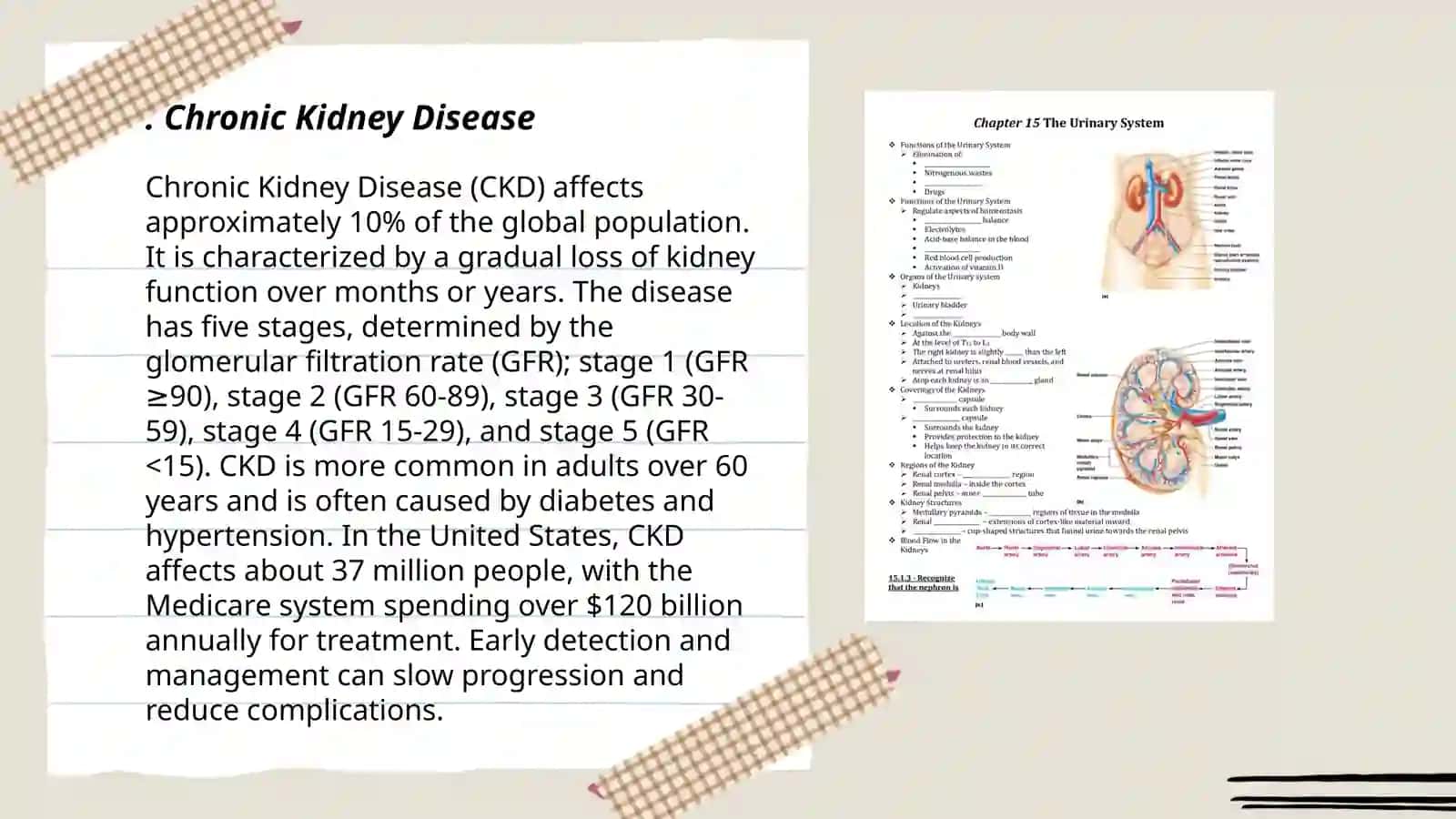 Chronic Kidney Disease 3