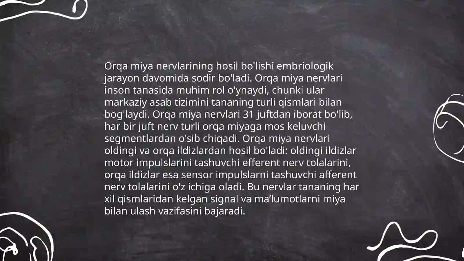 Orqa miya nervlarining hosil boʻlishi 3