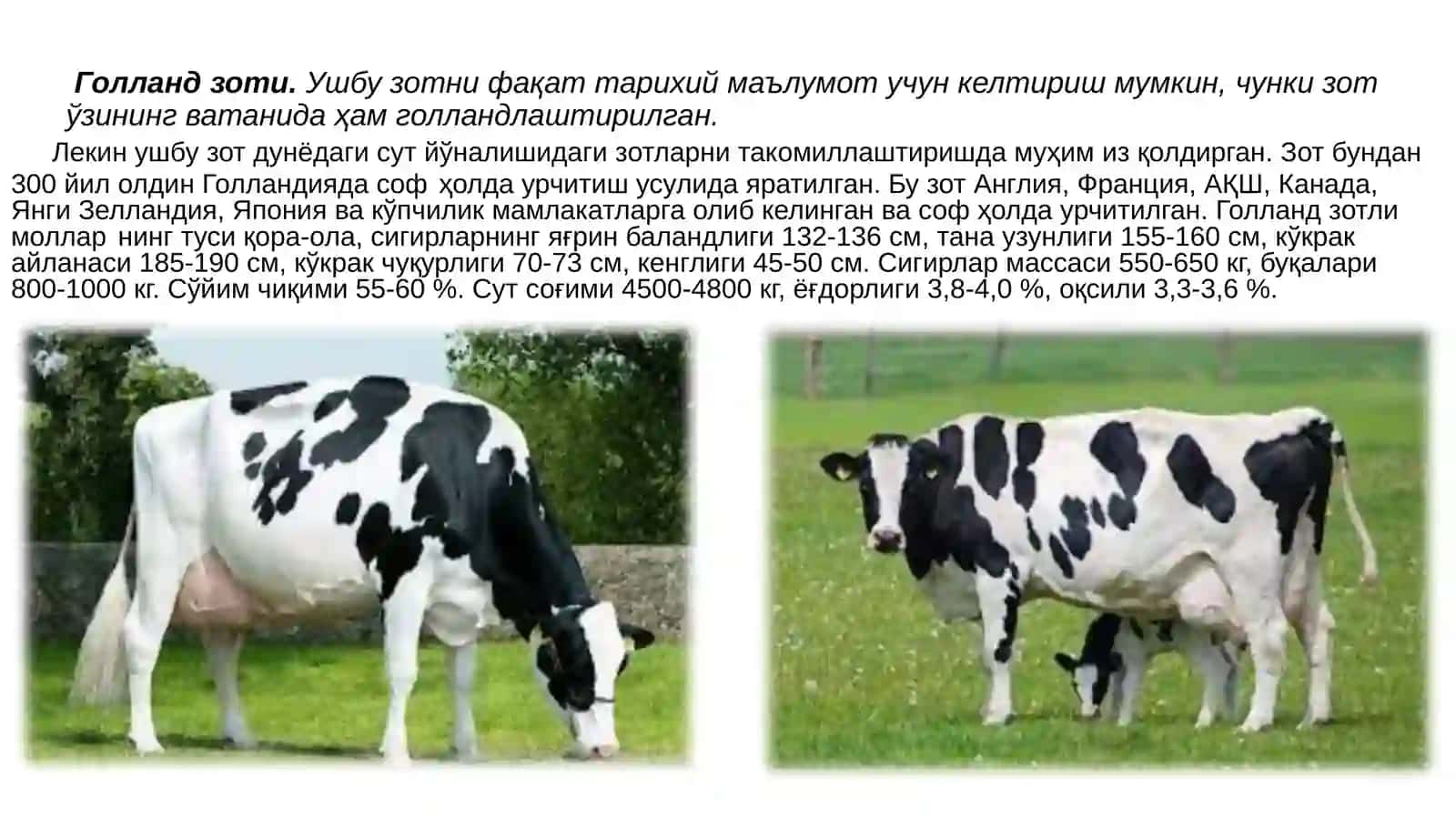 Қорамолзотларинитавсифи 3