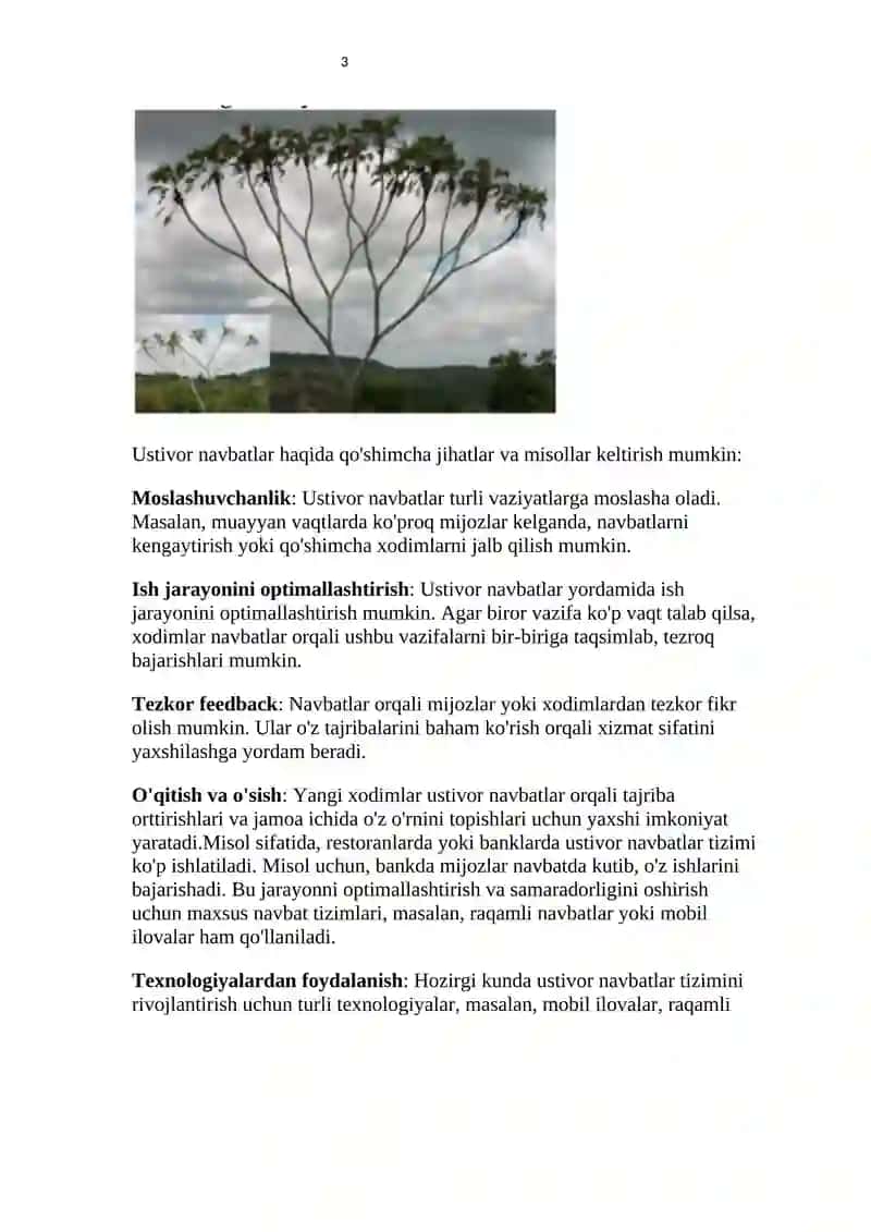 Ustivor navbatlar. 3