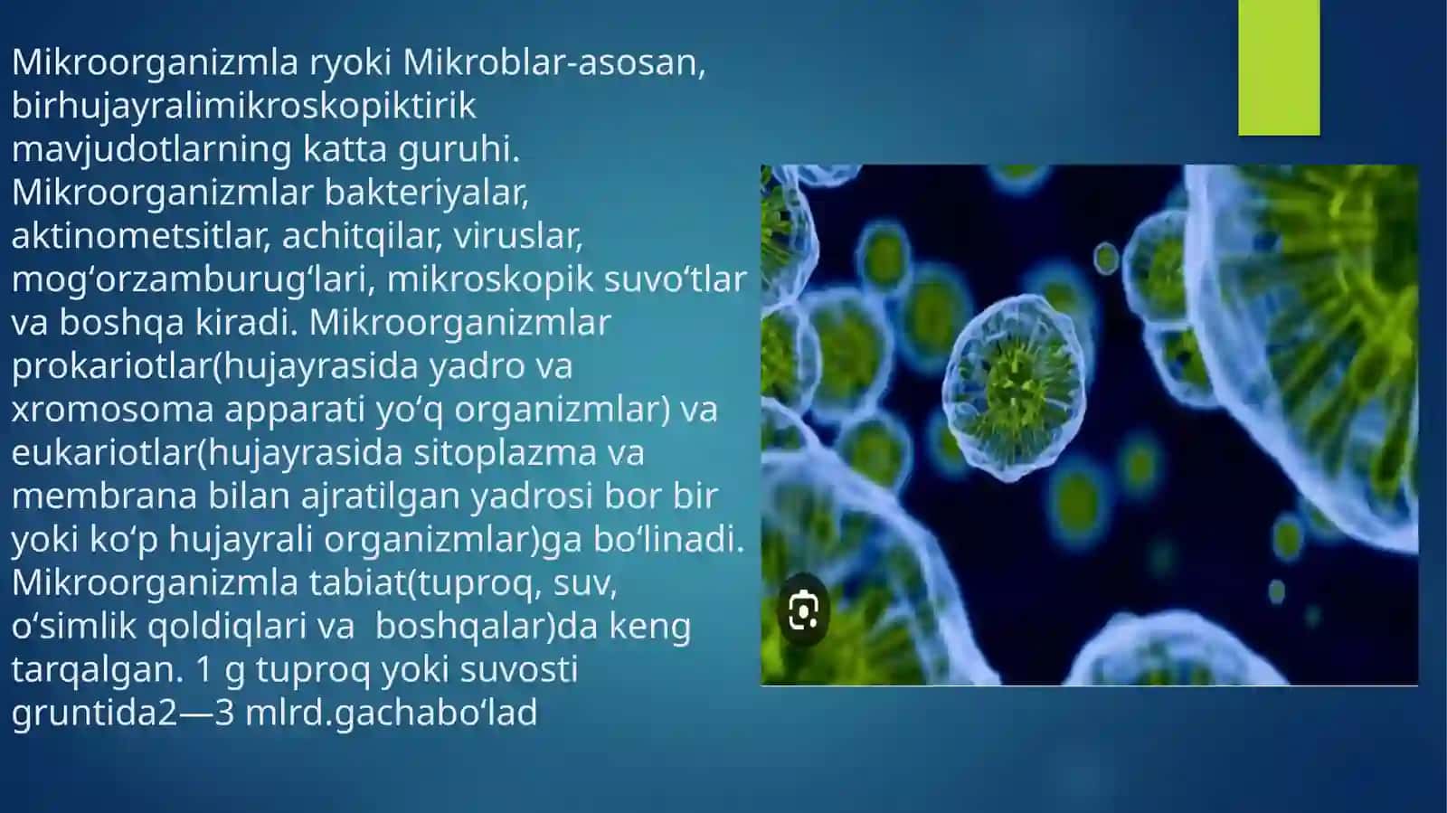 Mikroorganizmlar fiziologiyasi 3