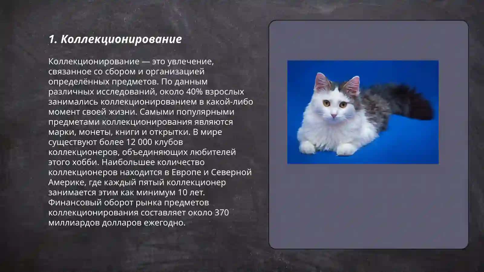 Мои увлечения и хобби 3