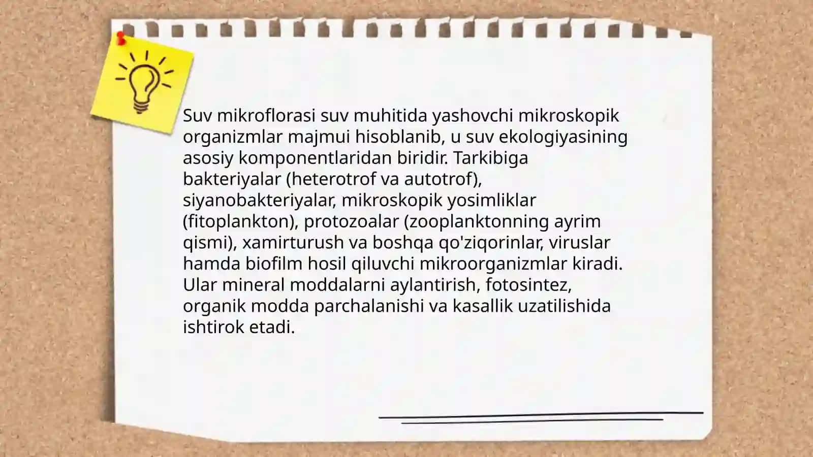 Suv mikroflorasi 3