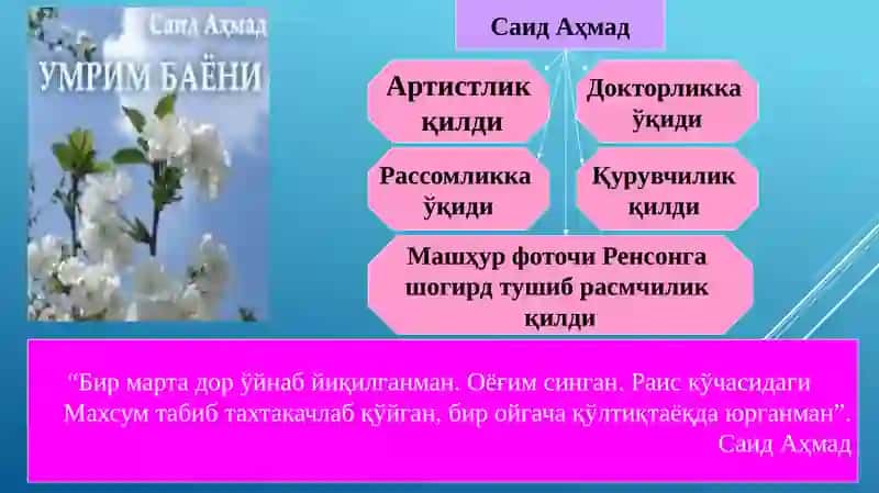 Саид Аҳмад ҳаёти ва ижоди 3
