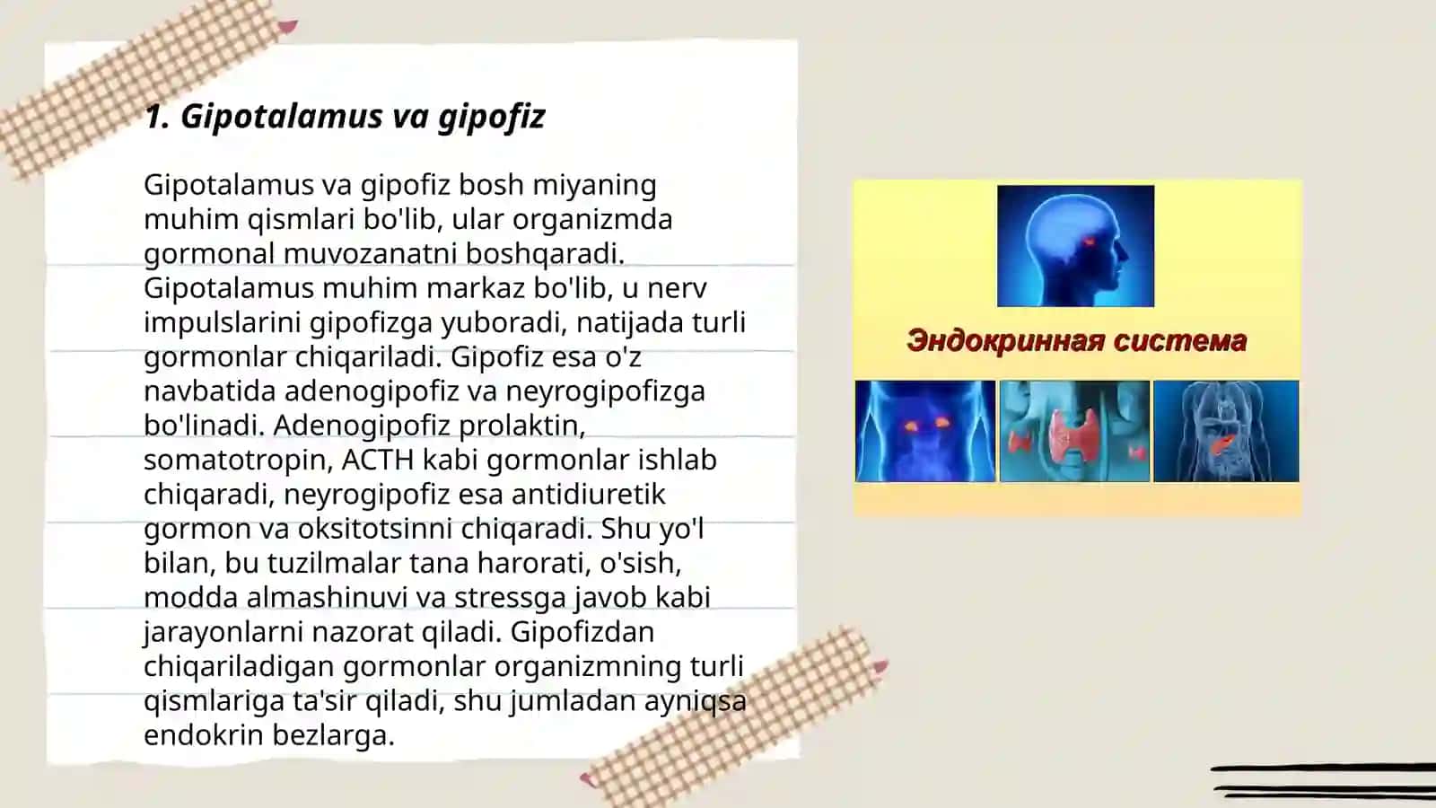 Avtonom endokrin bezlarning idora qilinishi 3