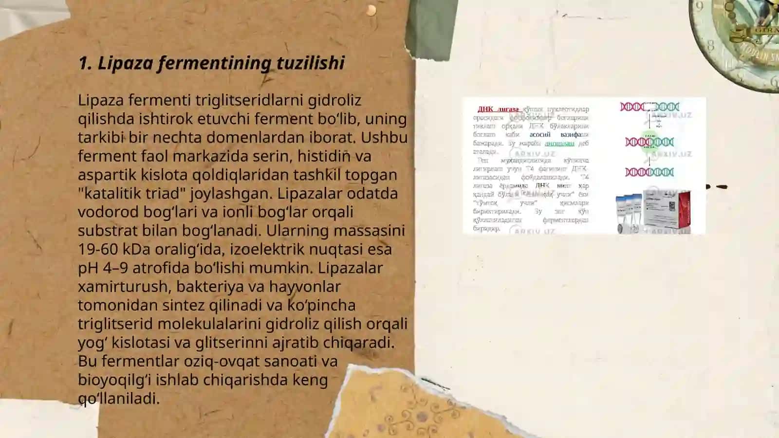 Lipaza fermenti faolligini organish 3