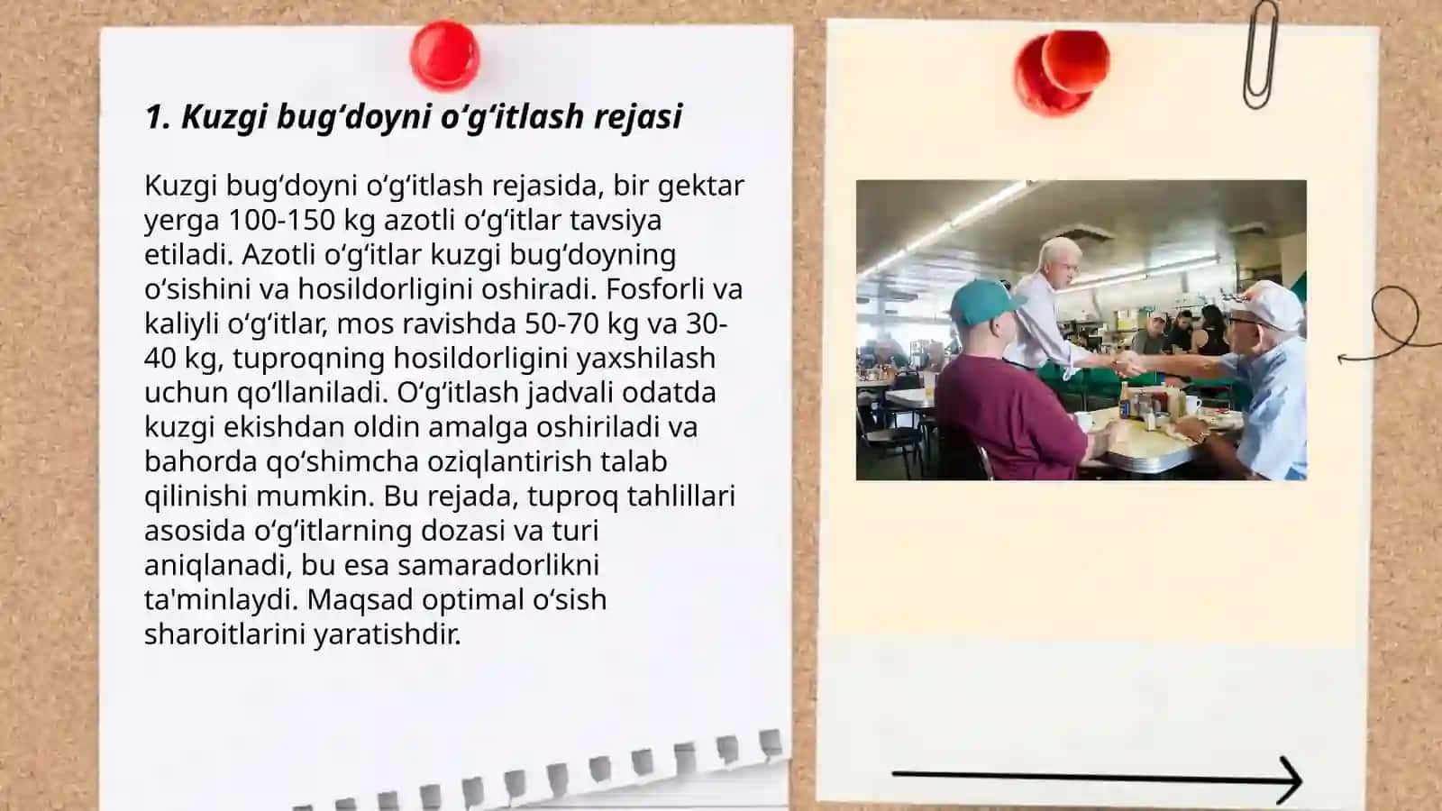 Kuzgi bugʻdoy va javdarli oʻgʻitlash 3