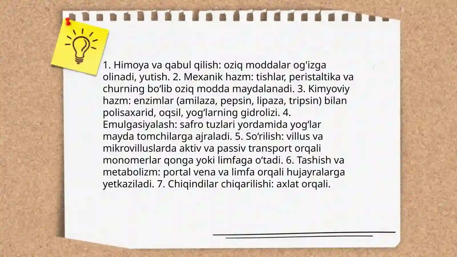 Oziq moddalarning hazimlanishi va soʻrilishi 3