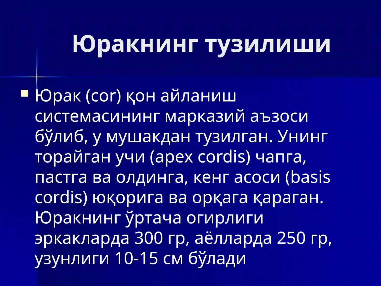 Юракнинг тузилиши 3
