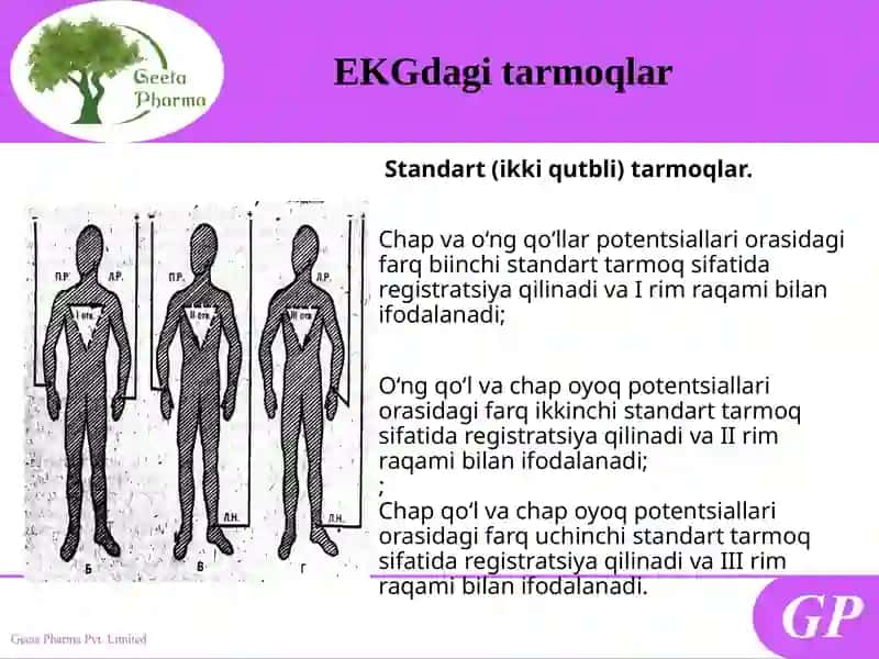 Elektrokardiografiya 3
