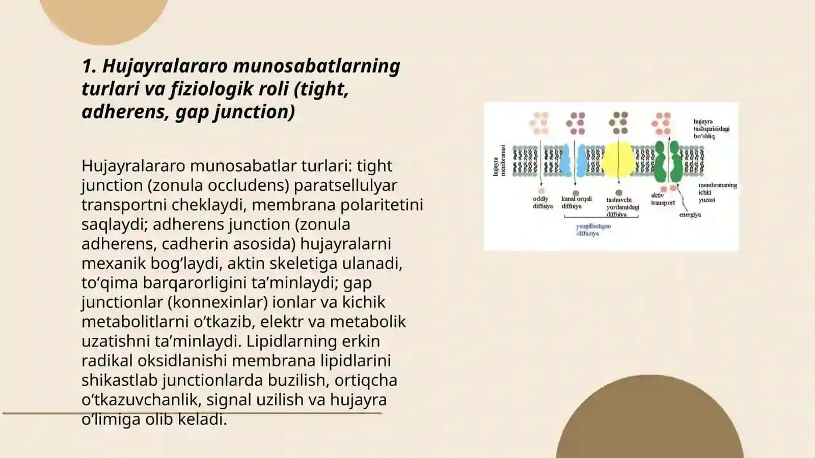 Biologik membranalar yoritilishi 3