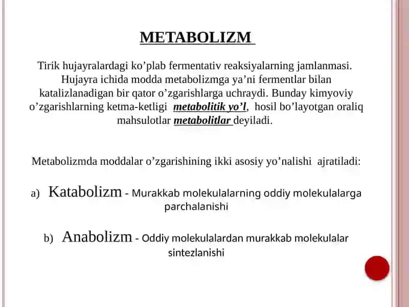 Metabolizm 3