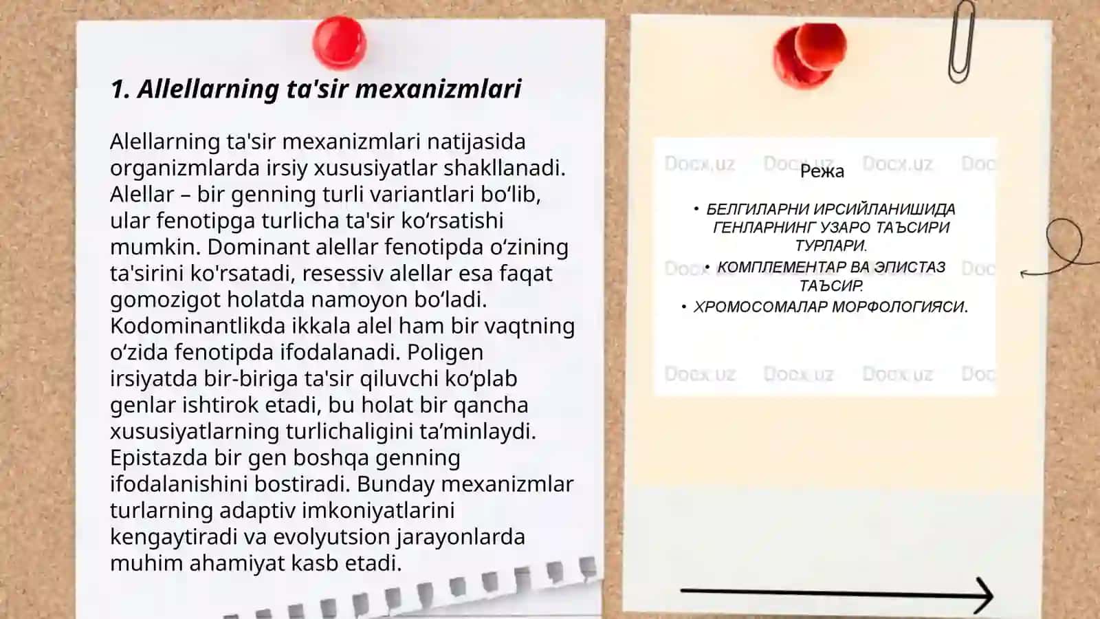 Allel genlarning oʻzaro taʼsiri 3