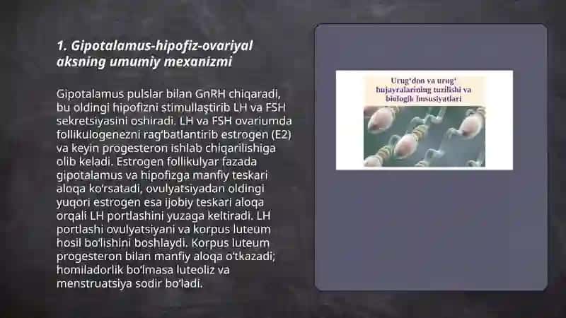 Jinsiy siklning gormonal boshqariluv mexanizmi 3