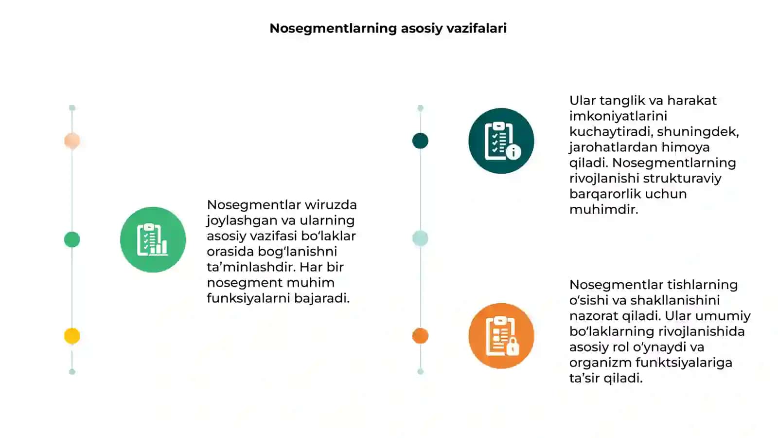 Nosegment til birliklari 3