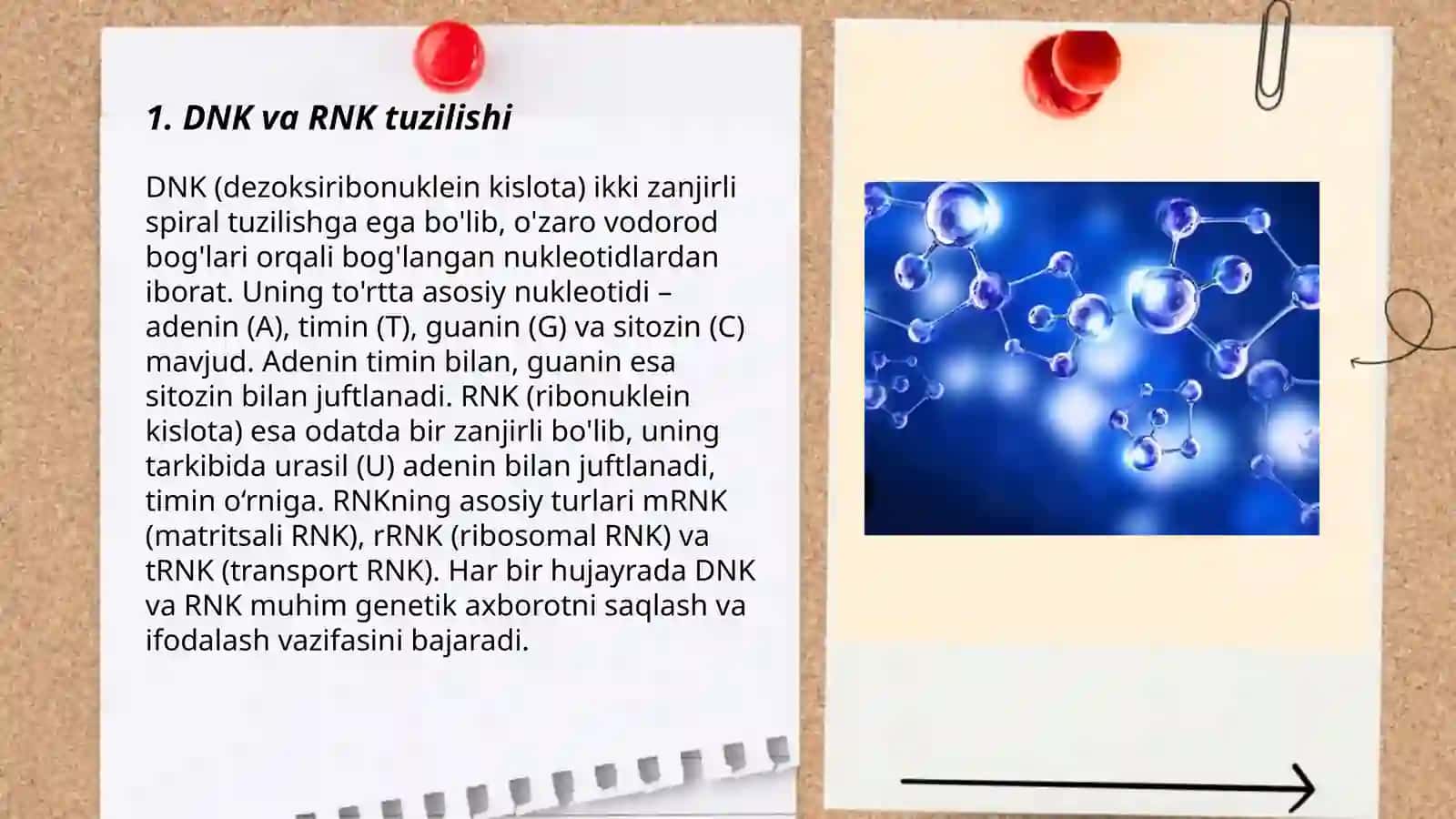 Hayotning molekulyar asoslari 3