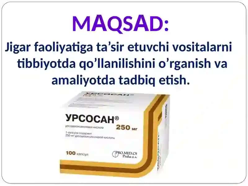 Jigar faoliyatiga ta’sir etuvchi vositalar. Gepatoprotektorlar 3