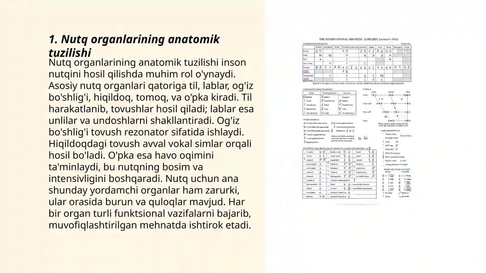 Nutq organlarining anatomik tuzilishi 3