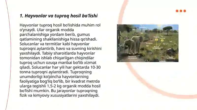 Tuproq paydo bolishida hayvonlarning roli 3