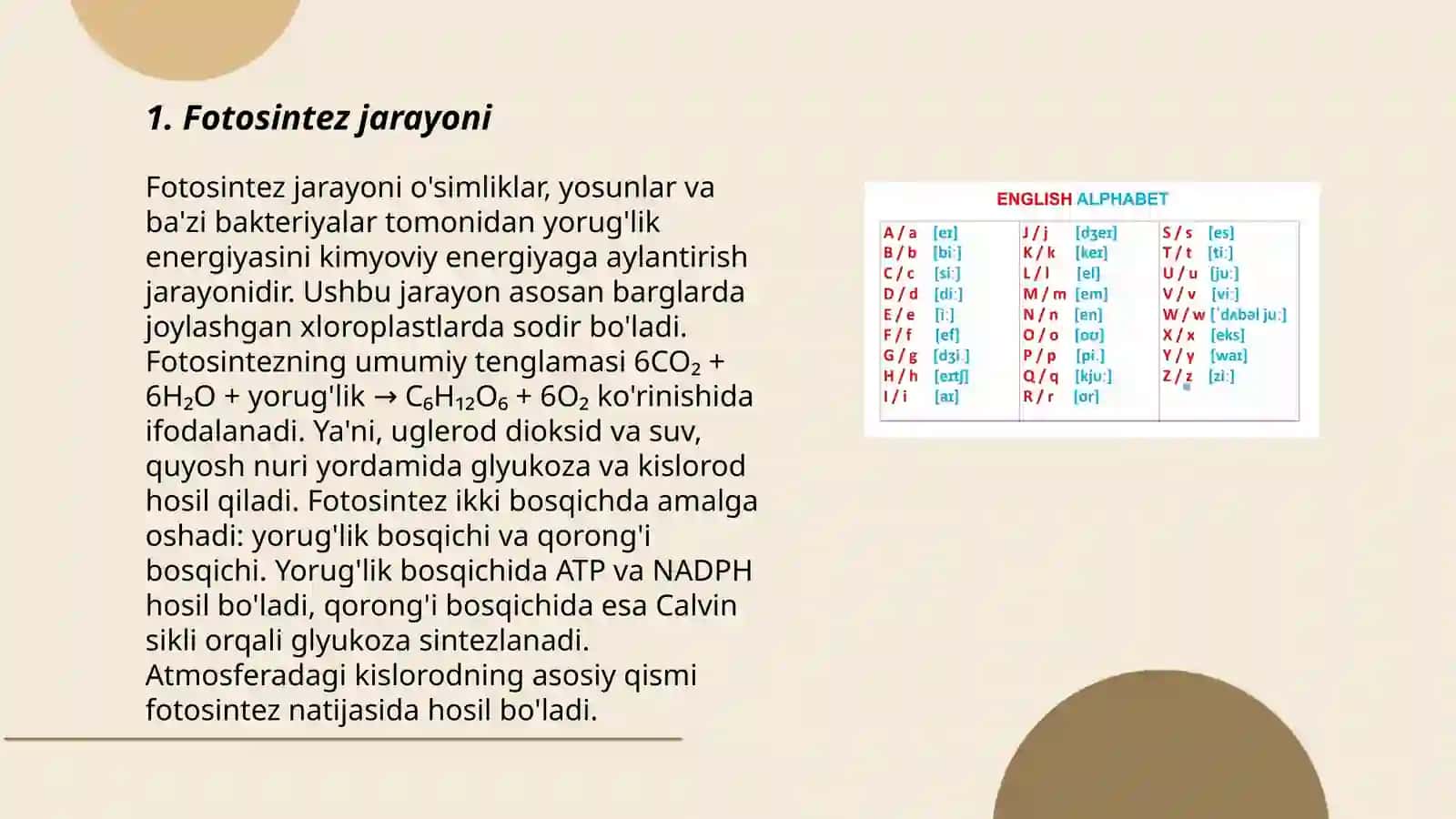 Fotosintez jarayoni 3
