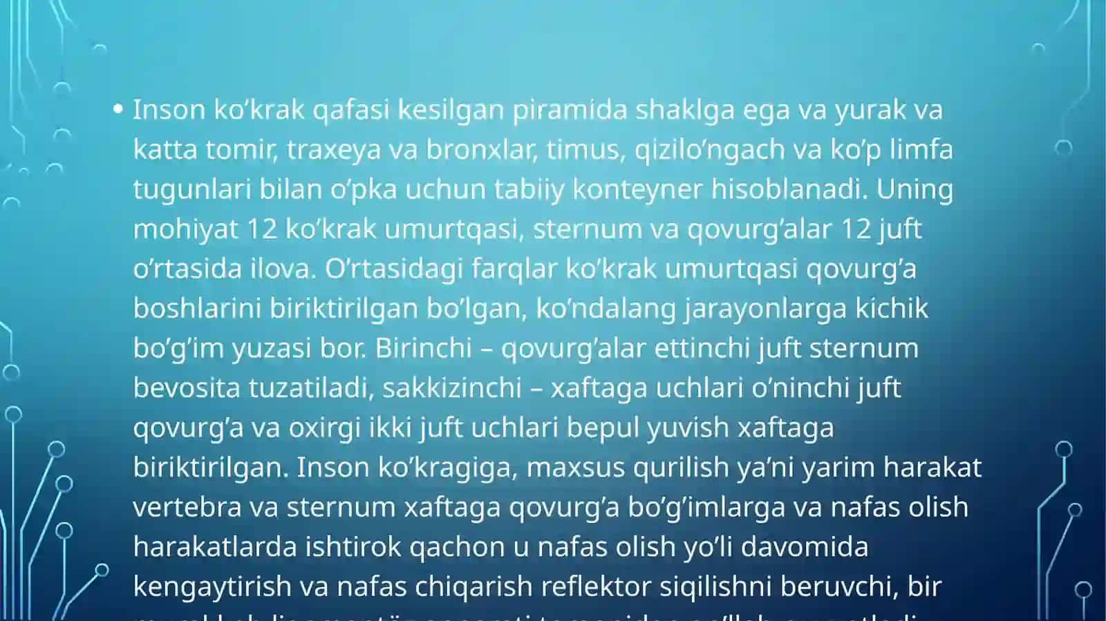 KO’KRAK QAFASINING ANATOMIK TUZILISHI 3