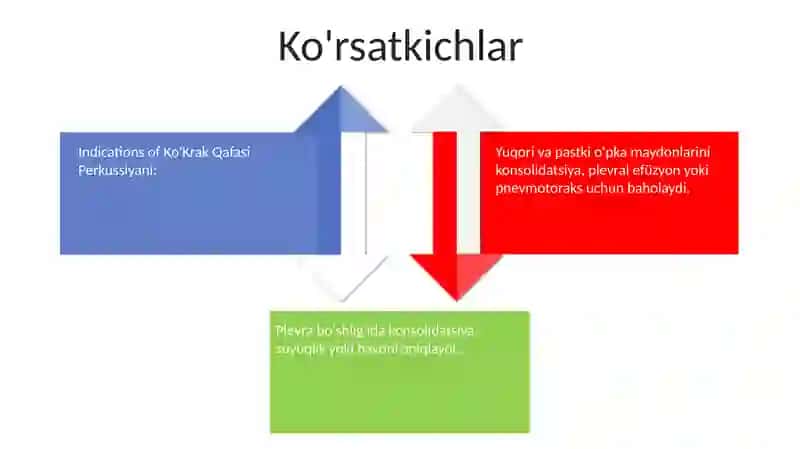 KoʻKrak Qafasi Perkussiyasi 3