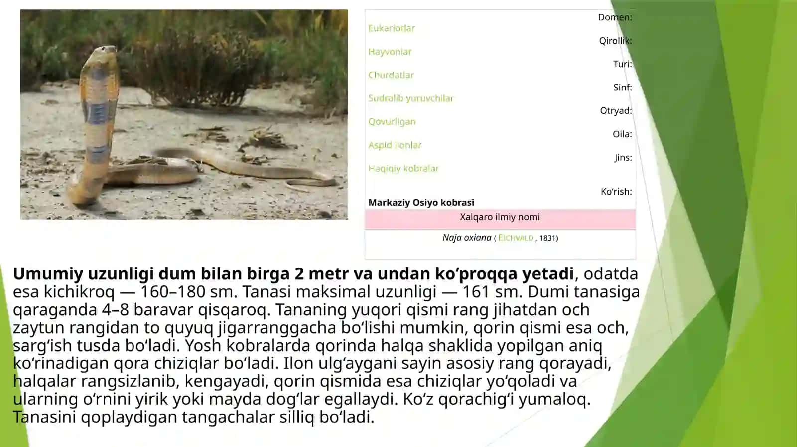 Ilonlar va zaharlar 3