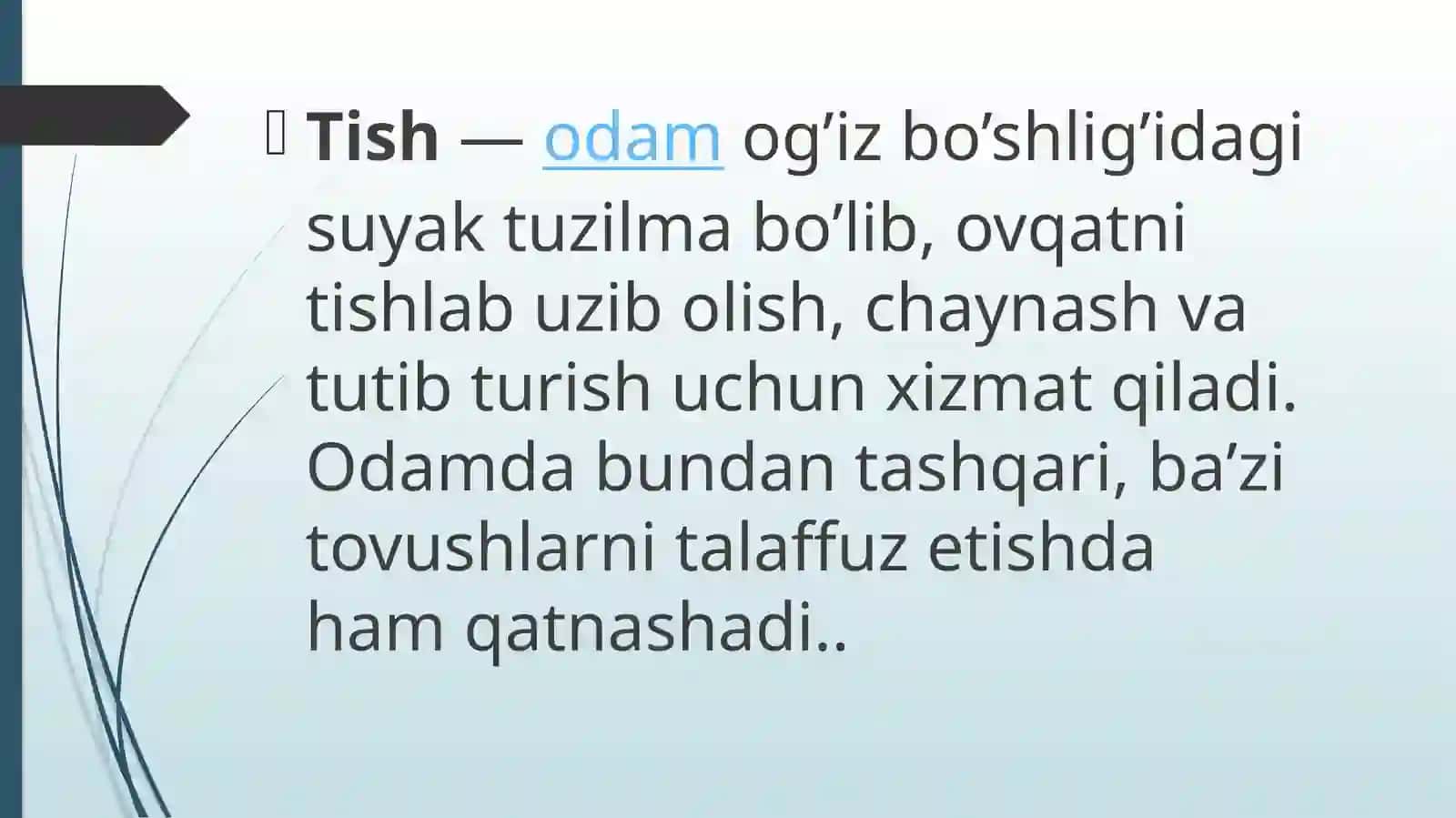 TISHTO’QIMALARINING ANATOMIK VA GISTALOGIK TUZILISHI 3