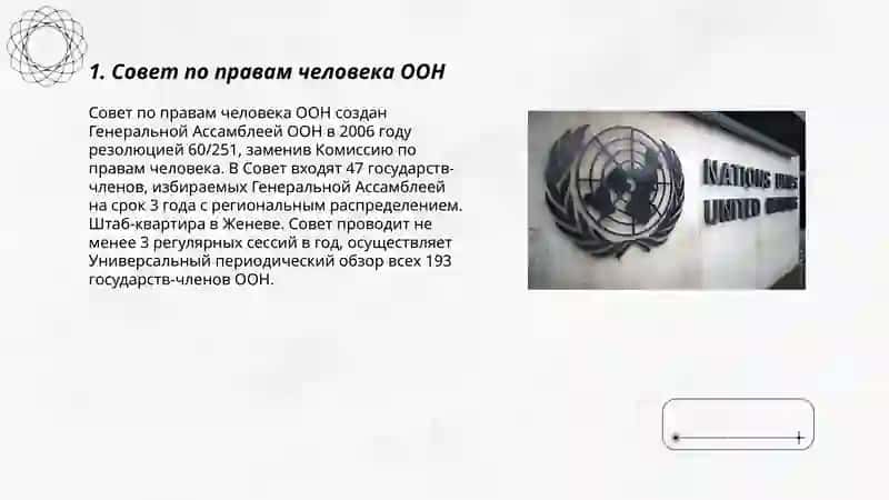 Совет по правам человека ООН 3