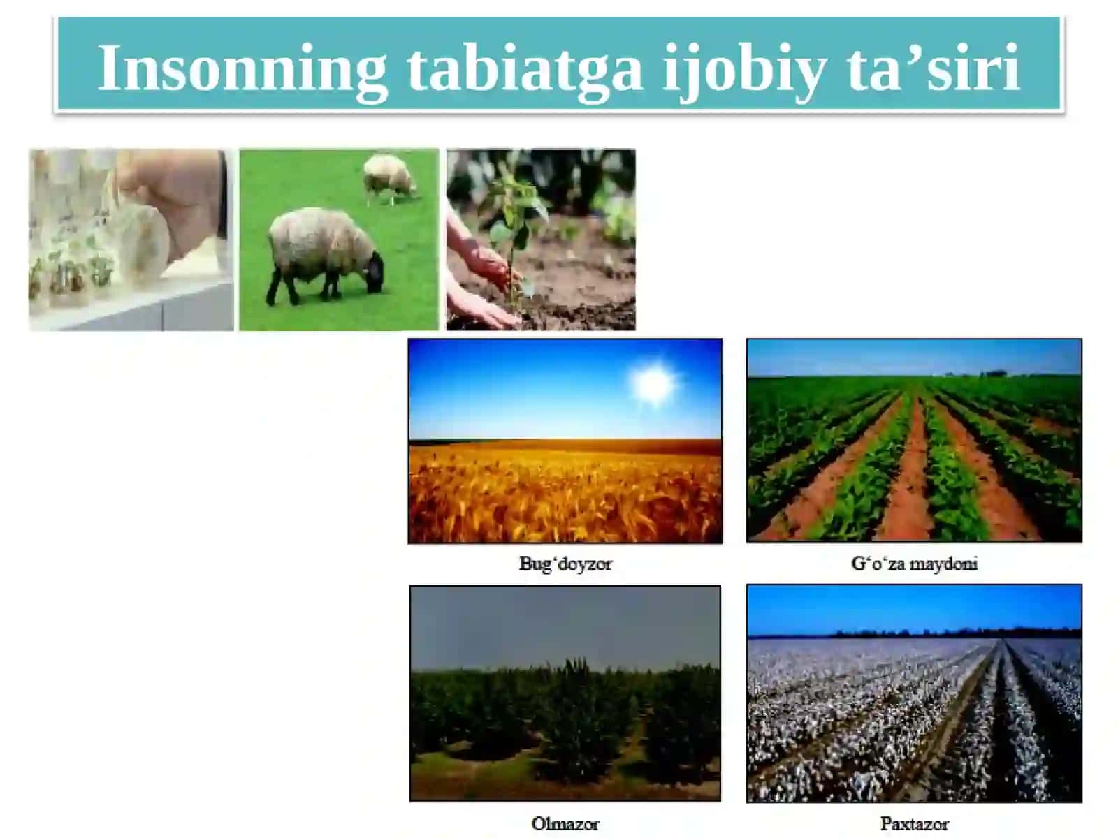 Insonvatabiat 3