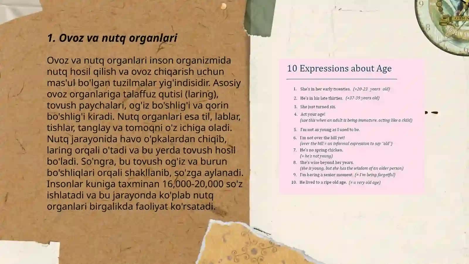 Ovoz va nutq organlari 3