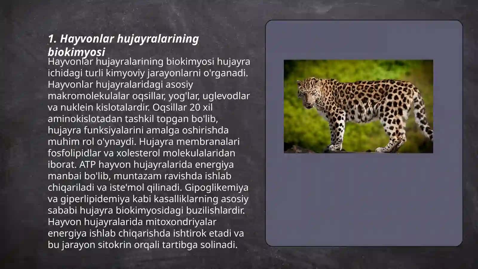 Hayvonlar bioximyasi 3