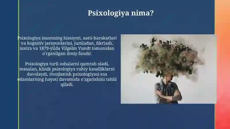 Psoxologiyanima 3