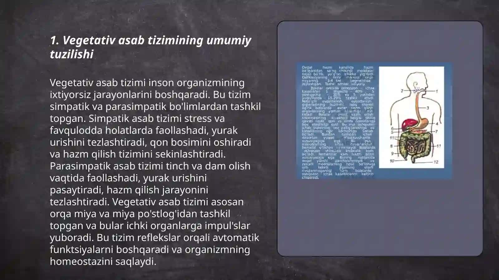 Vegitativ asab sistemasini o‘rganish 3