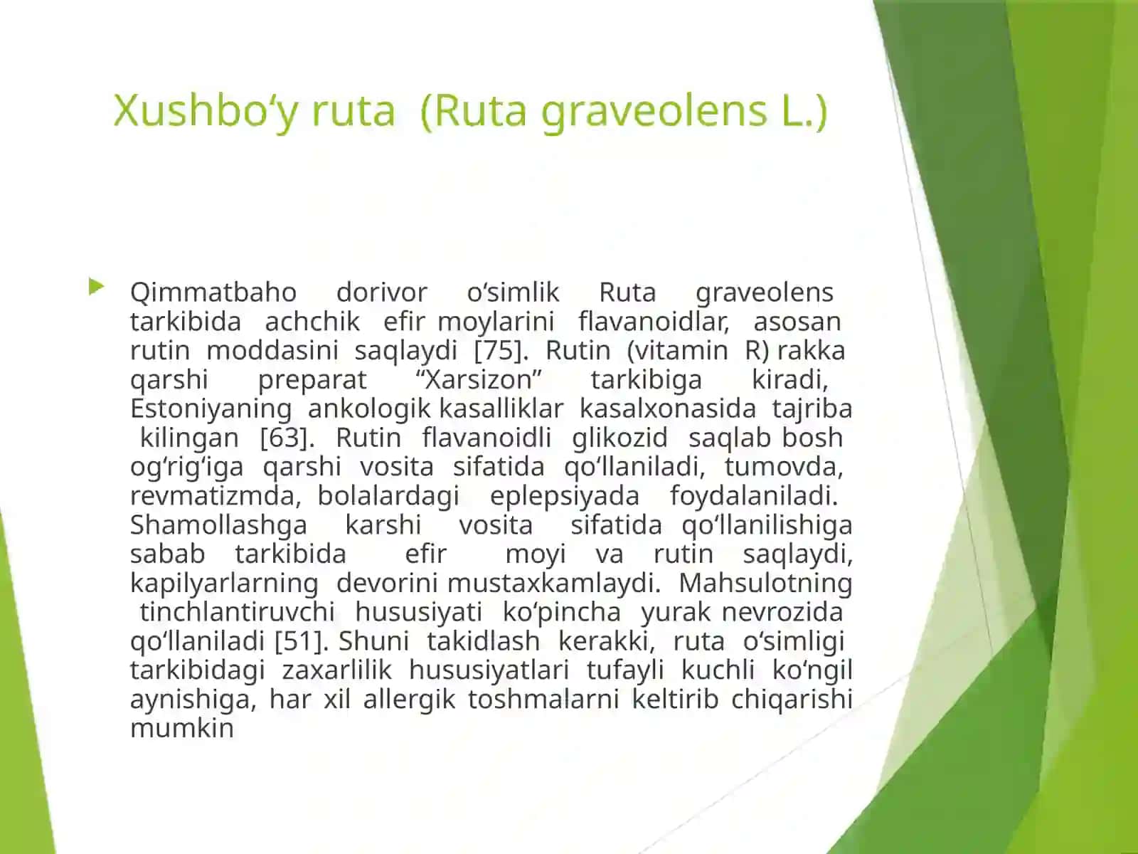 Xushbo‘y ruta (Ruta graveolens L.) 3