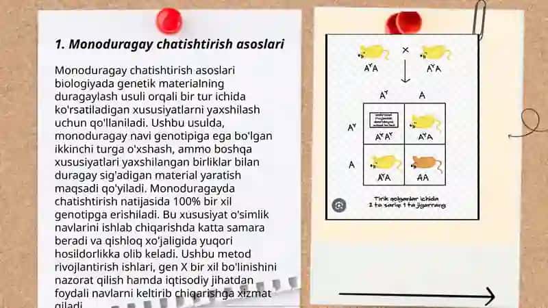 Monoduragay chatishtirish asoslari 3