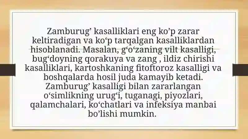 Zamburug’ infeksiyasi (kandidoz,aspergillez) 3