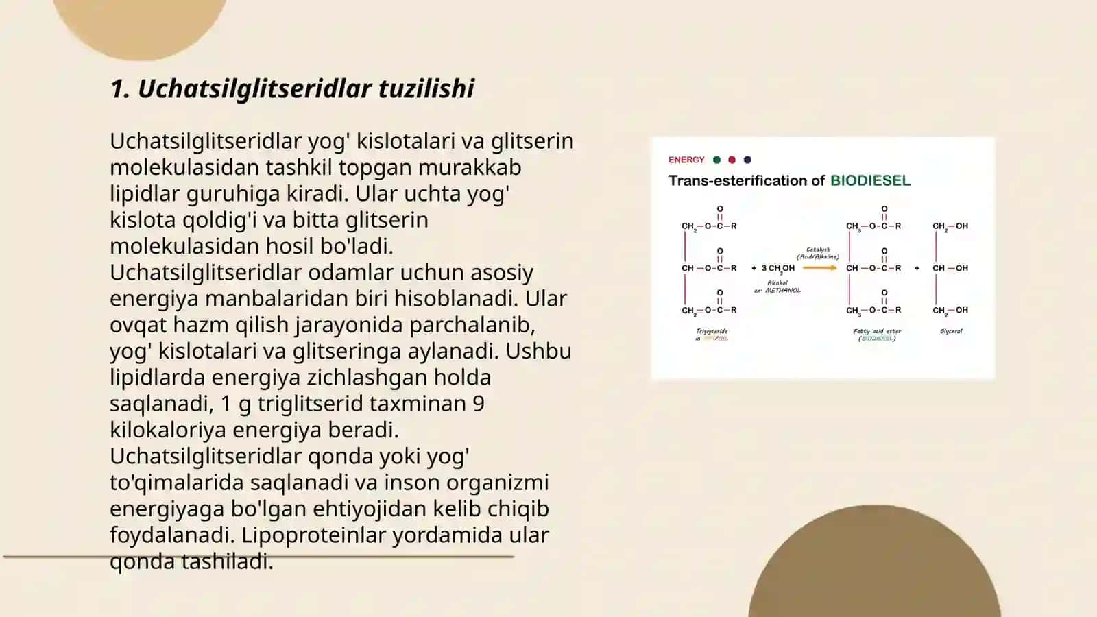 Uchatsilglitseridlar 3