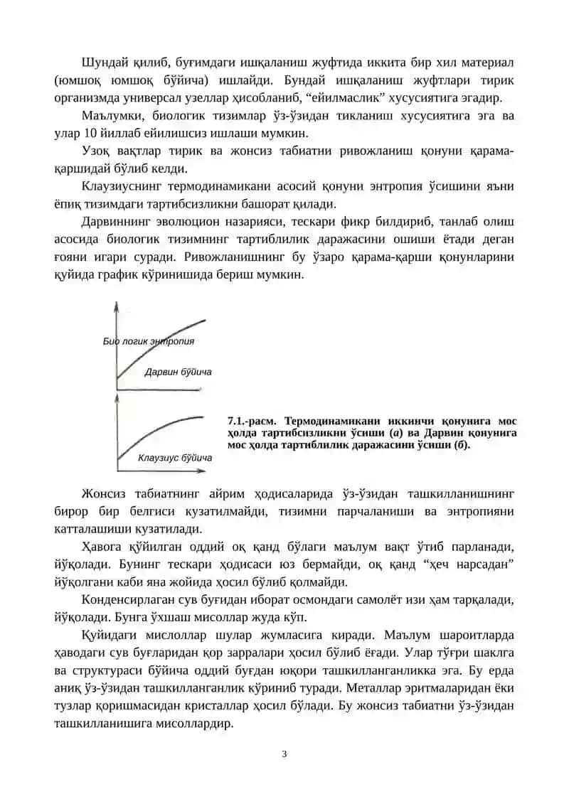 ЕЙИЛМАСЛИК САМАРАСИ 3
